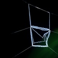 Deinopis longipes Net 1 2v