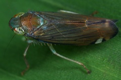IMG 5900 2