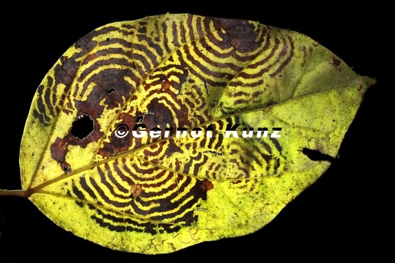 Blatt5 2
