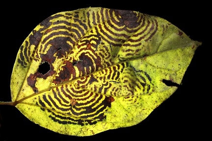 Blatt5 2