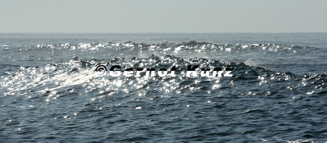 Ocean_La_Leona_1.jpg