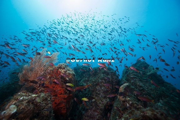 Isla de Ca  o 4 2