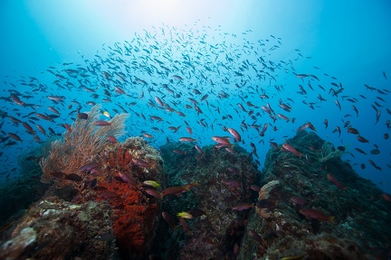 Isla de Ca  o 4 2
