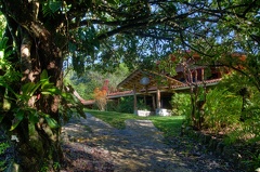 229 Tiskita Lodge