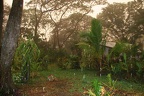 13IMG 1723
