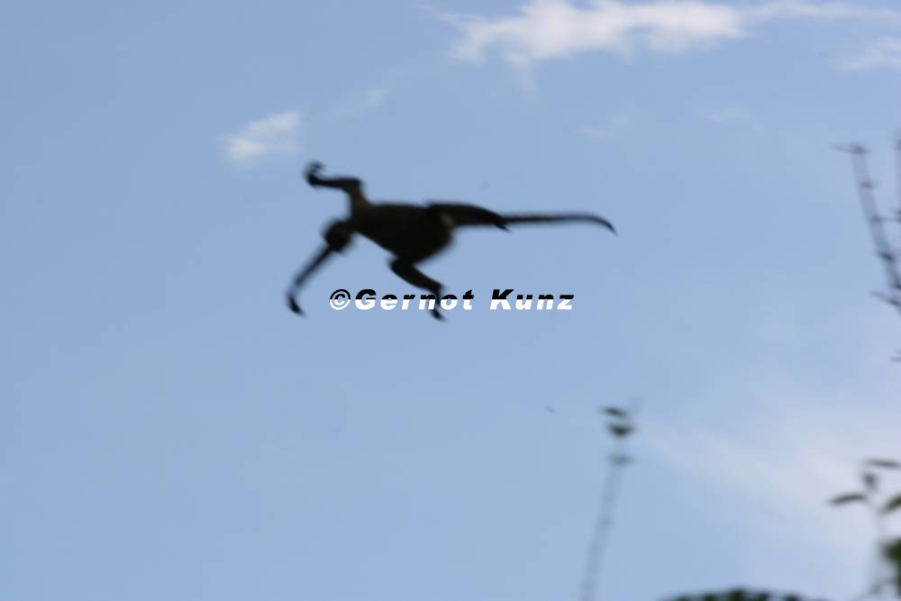 14IMG 2938