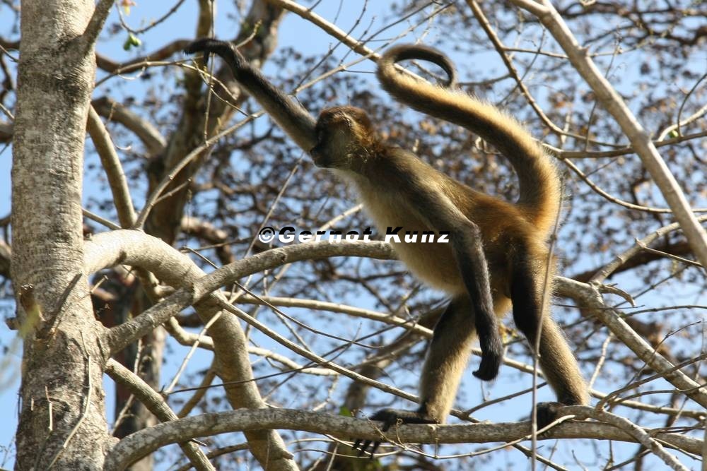 16IMG 2942