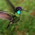 65IMG 3978 1