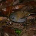 67IMG 5580
