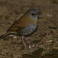 68IMG 5623