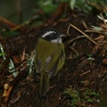 69IMG 5625