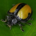 84IMG 4902