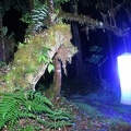 86IMG 4116