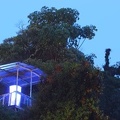 87IMG 5352
