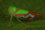 IMG 0615 2