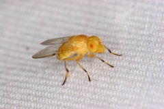 IMG 5865