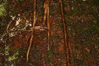 IMG 8804