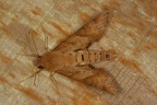 IMG 8826