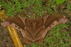 IMG 8833