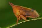 IMG 8908