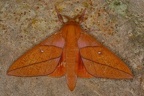 IMG 9551