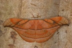 IMG 9575