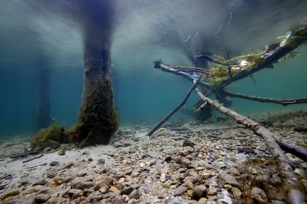 Leopoldsteiner See 4 2