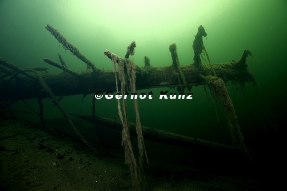 09 Unterwasserlandschaft2 2