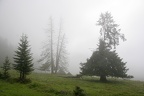 Niederscheibenalm