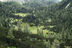 IMG 7628 1