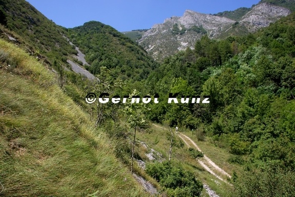 Reserva Naturale Speciale Juniperus Phoenicea