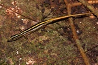 IMG 8429 2
