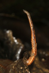  M2P6902 2