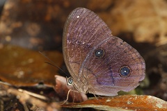  M2P6913 2