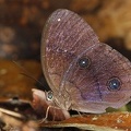  M2P6913 2