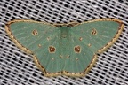 IMG 8553 2
