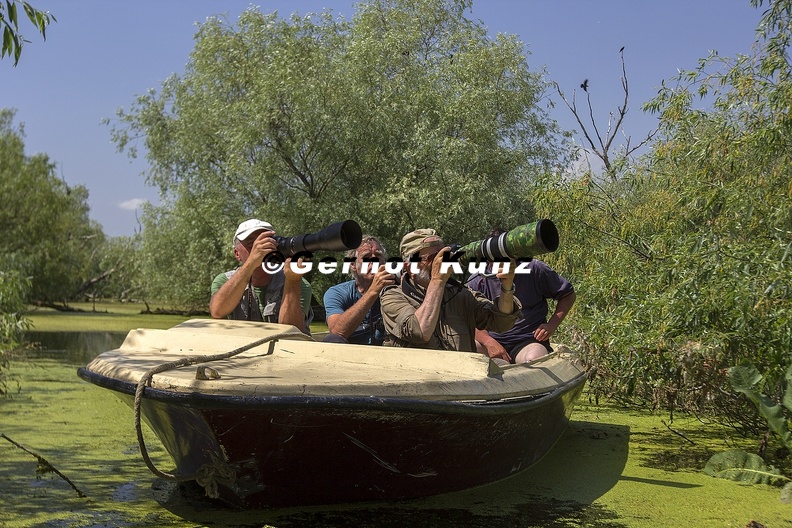 Kormorankolonie7_2.jpg