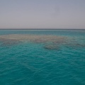 Mesharifa1