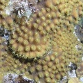 P4070039
