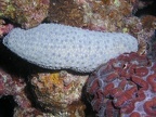 P4070058