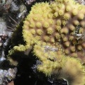 P4070095