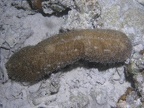 P4090052