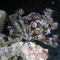 P4090059