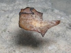 P4130026 1