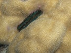 P4130057