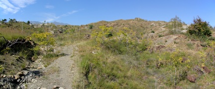 Panorama1