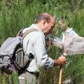 IMG 4484