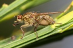 IMG 4522