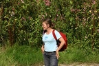 IMG 4523