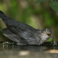 IMG 4744
